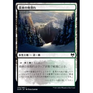 画像: 【日本語】森林の地割れ/Woodland Chasm