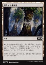 画像: 【日本語】進化する未開地/Evolving Wilds