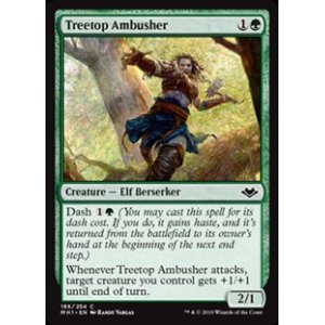 画像: 【英語】樹上の伏兵/Treetop Ambusher