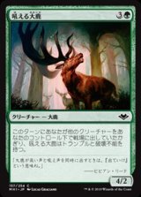 画像: 【日本語】吼える大鹿/Bellowing Elk