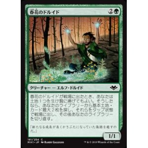 画像: 【日本語】春花のドルイド/Springbloom Druid