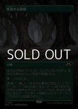 画像: ☆特殊枠【日本語Foil】変容する森林/Shifting Woodland