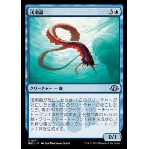 画像: 【日本語】浅瀬蟲/Reef Worm