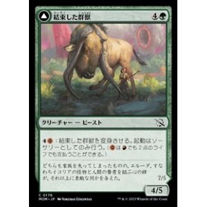 画像: 【日本語】結束した群獣/Bonded Herdbeast