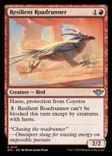 画像: 【英語】強靱なオオミチバシリ/Resilient Roadrunner