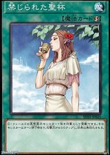 画像: 【ノーマル】禁じられた聖杯