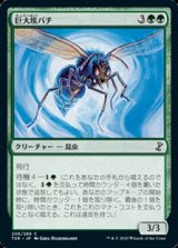 画像: 【日本語Foil】巨大埃バチ/Giant Dustwasp