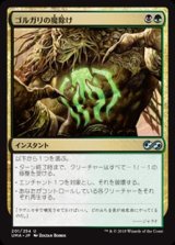 画像: 【日本語】ゴルガリの魔除け/Golgari Charm