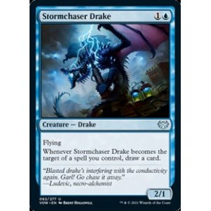 画像: 【英語】嵐追いのドレイク/Stormchaser Drake