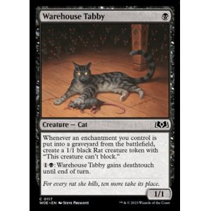 画像: 【英語】倉庫の虎猫/Warehouse Tabby