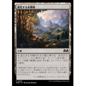 画像: 【日本語】進化する未開地/Evolving Wilds