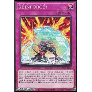 画像: 【ノーマル】REINFORCE!