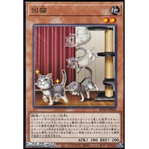 画像: 【ノーマル】回猫