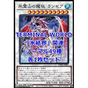 画像: 遊戯王 TERMINAL WORLD「氷結界」関連ノーマル49種各1枚セット