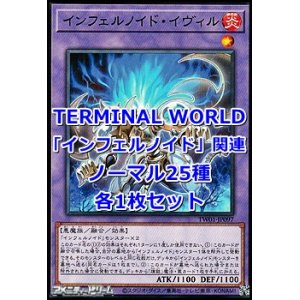 画像: 遊戯王 TERMINAL WORLD「インフェルノイド」関連ノーマル25種各1枚セット