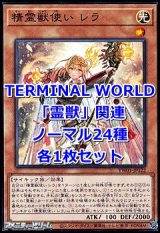 画像: 遊戯王 TERMINAL WORLD「霊獣」関連ノーマル24種各1枚セット