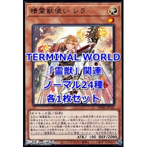 画像: 遊戯王 TERMINAL WORLD「霊獣」関連ノーマル24種各1枚セット