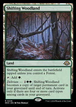 画像1: 【英語Foil】変容する森林/Shifting Woodland (1)